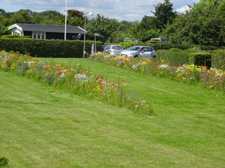 DSC05880