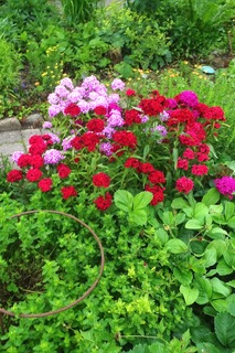 DSC09091