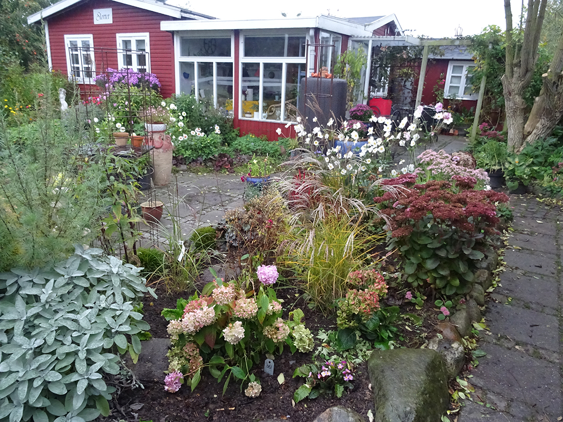 Haven