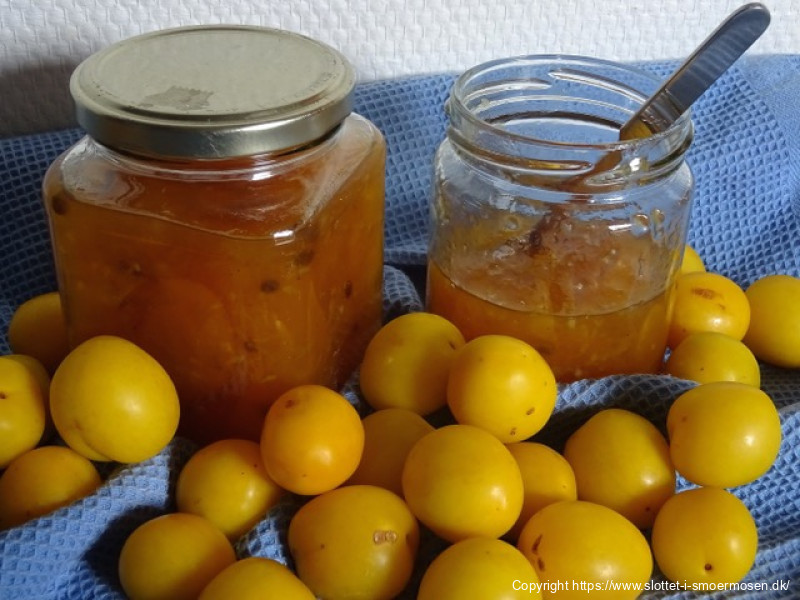 Mirabellekompot