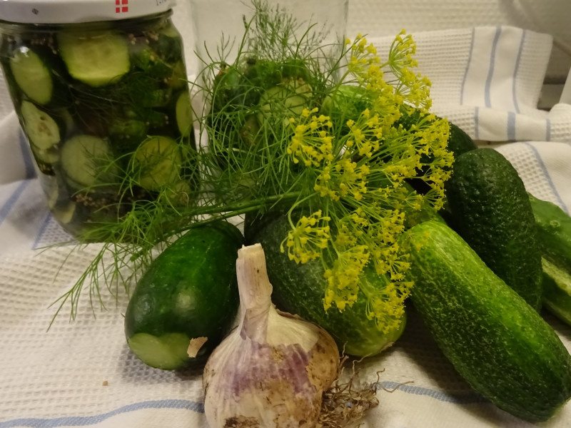 Agurker "råsyltede"