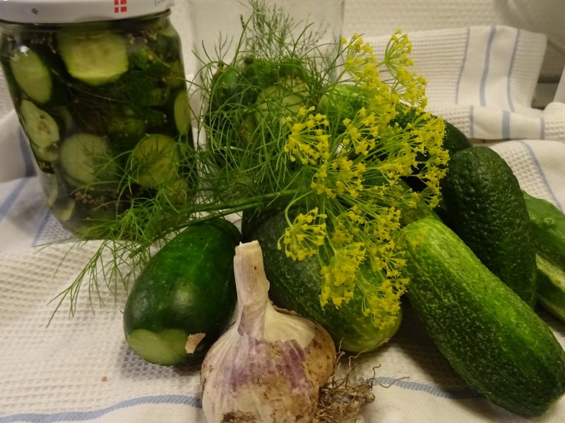 Agurker "råsyltede"